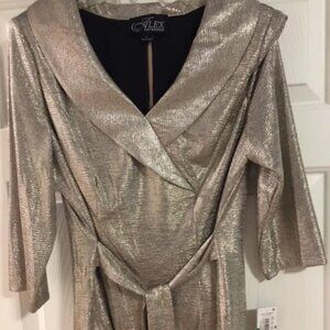 Alex Evenings top - NWT & free earrings to match